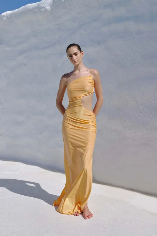 Luz’a Maxi Dress