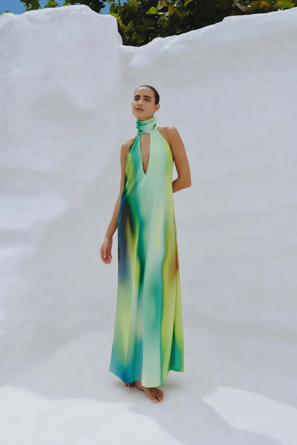 Magia Salvaje Maxi Dress