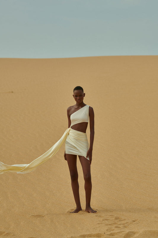 Zadeh Mini Dress