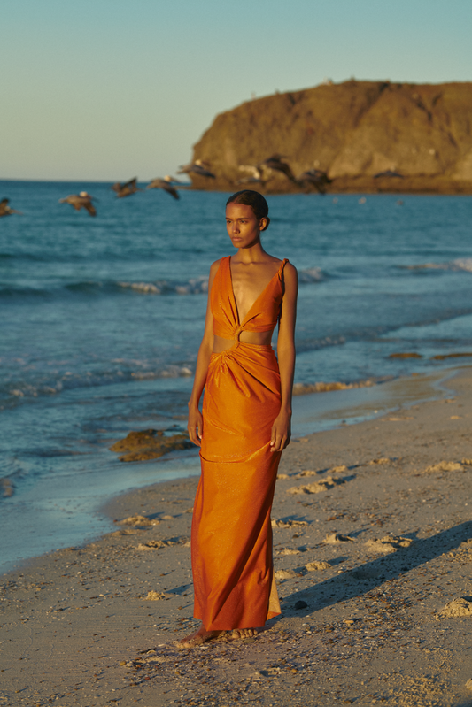 Dakota Maxi Dress